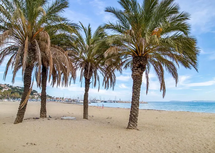 Apartment Nouvelle Ere - Appt A Moins D'un Km De La Le Lavandou